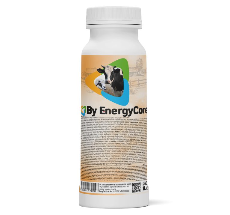 by-energycore-2